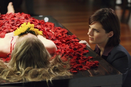 Palavras chave: CASTLE;FLOWERS FOR YOUR GRAVE,FLORES PARA O SEU TÚMULO;S01E01;PILOTO;PILOTE;KATE BECKETT