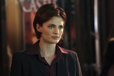 Palavras chave: CASTLE;FLOWERS FOR YOUR GRAVE,FLORES PARA O SEU TÚMULO;S01E01;PILOTO;PILOTE;KATE BECKETT