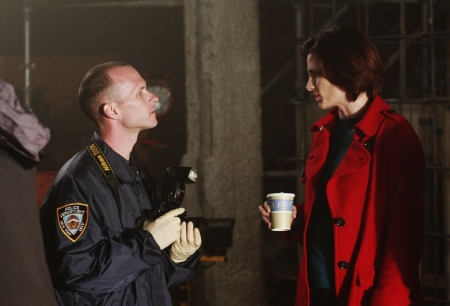 Palavras chave: CASTLE;A CHILL GOES THROUGH HER VEINS;UM FRIO QUE CORRE NAS VEIAS;S01E05;KATE BECKETT