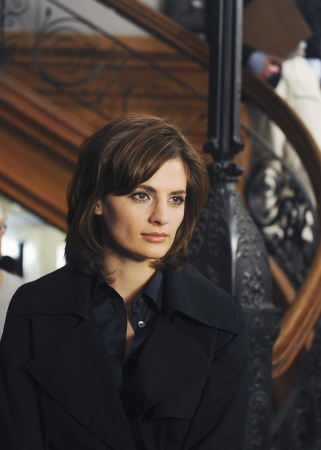 Palavras chave: CASTLE;THE THIRD MAN;2X14;S02E14;KATE BECKETT