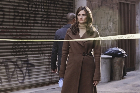 Palavras chave: Castle;3ª temporada;season 3;3.11;3x11;s03e11