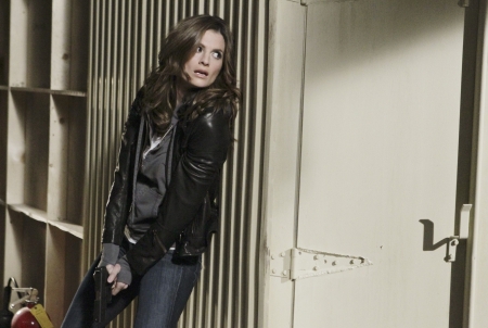 Palavras chave: Castle;3ª temporada;season 3;3.16;3x16;s03e16