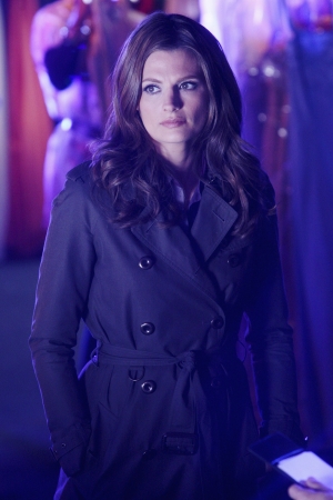 Palavras chave: Castle;3ª temporada;season 3;3.23;3x23;s03e23