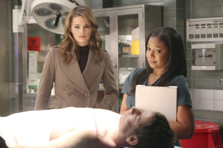 Palavras chave: Castle;4ª temporada;season 4;4x11;4.11;s04e11