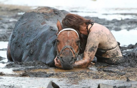 [url=https://twitter.com/Stana_Katic/status/541696617921781760]@Stana_Katic[/url]: Ótima história para uma manhã de domingo:

earth-pics.com/gallery/10most/her-horse-was-sinking-quickly-when-she-did-something-unforgettable-
