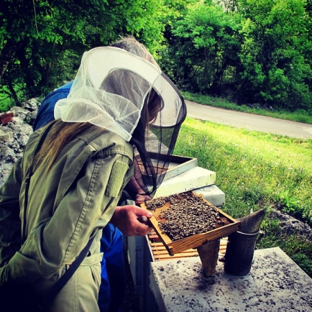 [url=http://instagram.com/p/xLW74UR4aX]@drstanakatic[/url]: #NãoCorteMeuBarato

Voltando no tempo para uma 6ª feira: Uma aula de apicultura com família na Dalmácia.

#NegócioZumbido
