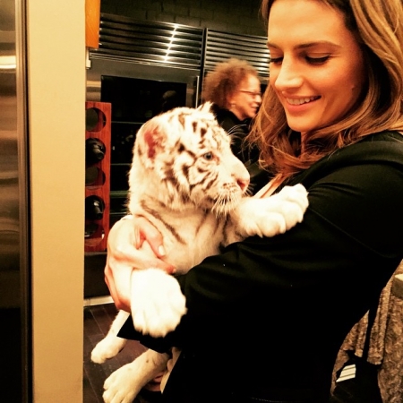 [url=https://instagram.com/p/zV4eBwx4XE/]@drstanakatic[/url]: Prrrrrrrr
