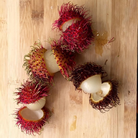 [url=https://instagram.com/p/66stJqx4fS/]@drstanakatic[/url]: Comida do Dia:
#Rambutã

Nham-nham
