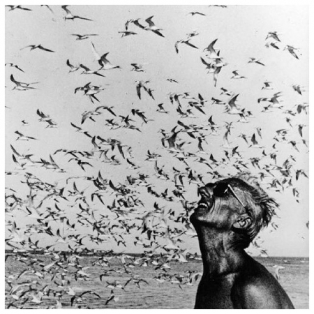 [url=https://instagram.com/p/9wP4EgR4UB/]@drstanakatic[/url]: Jacques Cousteau: Explorador, cientista #Inspiração
"O mar, o grande unificador, é a única esperança do homem. Agora, como nunca antes, a velha frase tem um significado literal: estamos todos no mesmo barco." - JC
