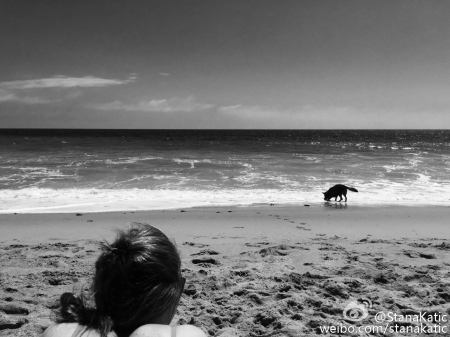 [url=http://weibo.com/3188517517/E1Y43wHkR]@StanaKatic[/url]: Dia de praia!

Estilo californiano. ️☀️🌊🐾
