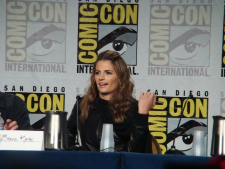 Palavras chave: ComicCon;Comic-Con;Comic Con;panel;Batman: Arkham City;Batman;Arkham City;game;video game;Talia al Ghul;2011;SDCC;San Diego