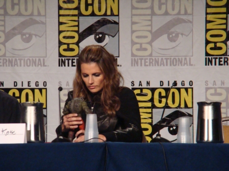 Palavras chave: ComicCon;Comic-Con;Comic Con;panel;Batman: Arkham City;Batman;Arkham City;game;video game;Talia al Ghul;2011;SDCC;San Diego