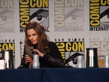 Palavras chave: ComicCon;Comic-Con;Comic Con;panel;Batman: Arkham City;Batman;Arkham City;game;video game;Talia al Ghul;2011;SDCC;San Diego