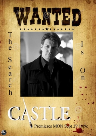 [url=https://twitter.com/Stana_Katic/status/511522166425149440]@Stana_Katic[/url]: #CastleSeason7Poster
