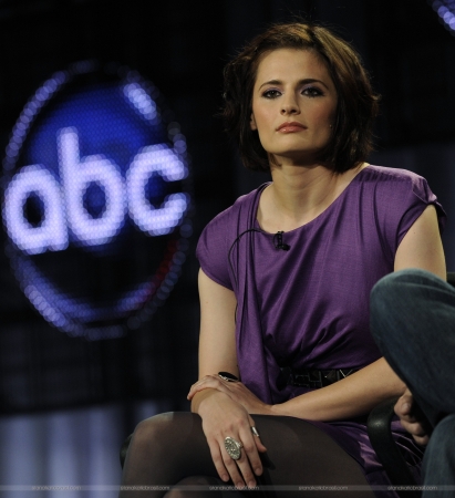 Palavras chave: DISNEY&#039;S 2009 WINTER PRESS TOUR PANEL;2009;CASTLE